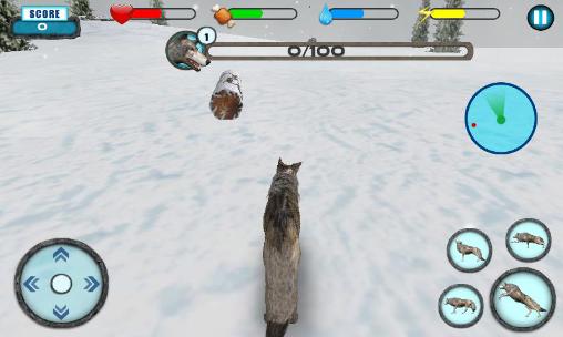 Wolf simulator extreme - Android game screenshots.