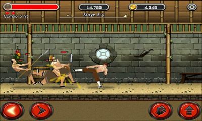 Kung Fu Quest The Jade Tower - Android game screenshots.