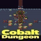 Download game Cobalt dungeon for free and Combat zone for Android phones and tablets .