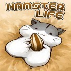 Download game Hamster life for free and  for Android phones and tablets .