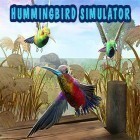 Download game Hummingbird simulator 3D for free and Final Fury for Android phones and tablets .