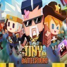 Download game Tiny battleground for free and Hidden empire: Fantastic paradise. Dream park for Android phones and tablets .