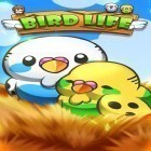 Download game Bird life for free and Mushboom for Android phones and tablets .