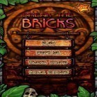 Download game Break the Bricks for free and Ninja Cockroach for Android phones and tablets .