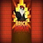 Download game Brick ninja for free and I got worms for Android phones and tablets .