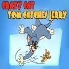 Download game Crazy cat: Tom catches Jerry for free and Zigzag 3D: Hit wall for Android phones and tablets .