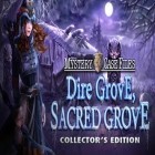 Download game Mystery castle files: Dire grove, sacred grove. Collector's edition for free and Full drift racing for Android phones and tablets .