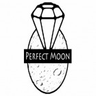 Download game Perfect Moon for free and Checkers 3D for Android phones and tablets .