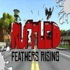 Download game Ruffled Feathers Rising for free and Sky war: Thunder for Android phones and tablets .