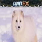 Download game Silver fox slot for free and Ultimate MotoCross 2 for Android phones and tablets .