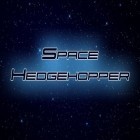 Download game Space hedgehopper for free and 8-bit waterslide for Android phones and tablets .