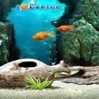 Download game iQuarium for free and Bubbu restaurant for Android phones and tablets .