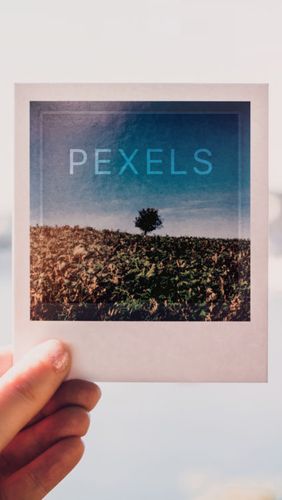 Download Pexels - free Image Viewer Android app for phones and tablets.