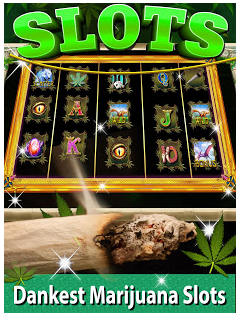Download Kush Slots: Marijuana Casino, Lucky Weed Smokers Android free game.