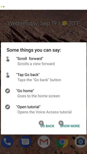 Voice access screenshot.