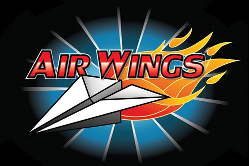 Game Air wings for iPhone free download.