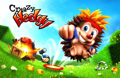 Game Crazy Hedgy for iPhone free download.