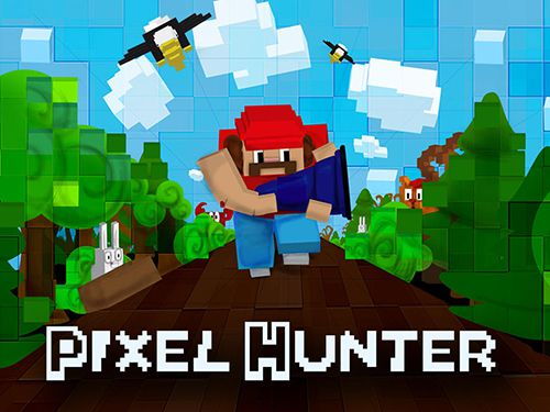 Game Pixel hunter for iPhone free download.