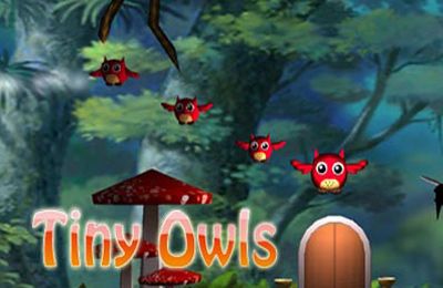 Game Tiny Owls for iPhone free download.