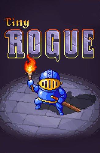 Game Tiny rogue for iPhone free download.