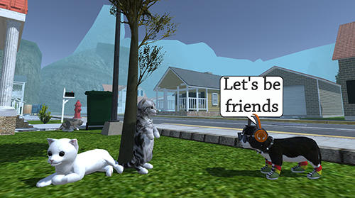 Gameplay screenshots of the Cat simulator: Animal life for iPad, iPhone or iPod.
