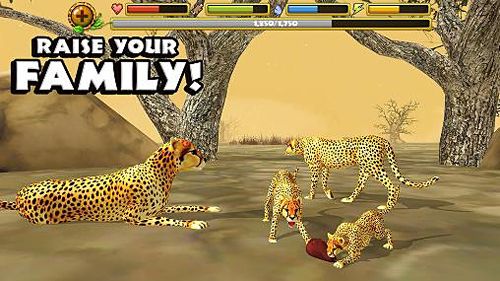 Free Cheetah simulator - download for iPhone, iPad and iPod.