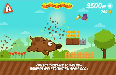 Free Space Dog Run - download for iPhone, iPad and iPod.