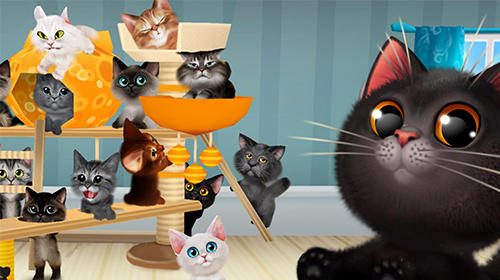 Download app for iOS Happy kitties, ipa full version.