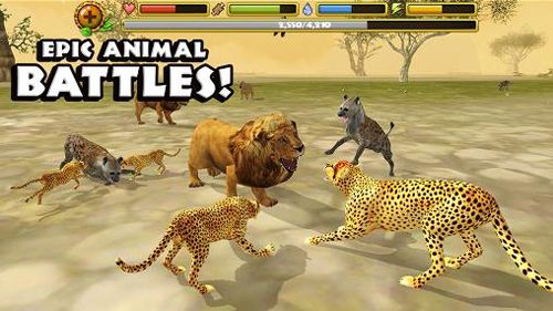 Gameplay screenshots of the Cheetah simulator for iPad, iPhone or iPod.
