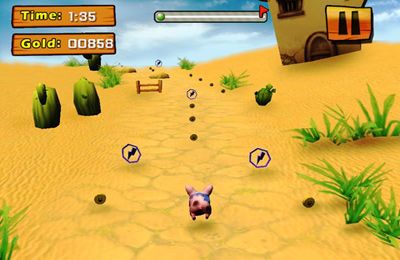 Gameplay screenshots of the Piggy Revenges for iPad, iPhone or iPod.