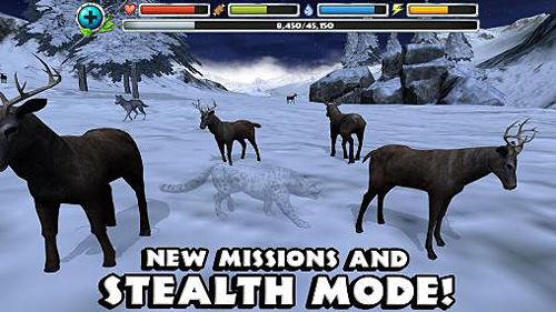Gameplay screenshots of the Snow leopard simulator for iPad, iPhone or iPod.