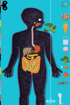 Gameplay screenshots of the The Human Body by Tinybop for iPad, iPhone or iPod.