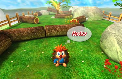 Download app for iOS Crazy Hedgy, ipa full version.
