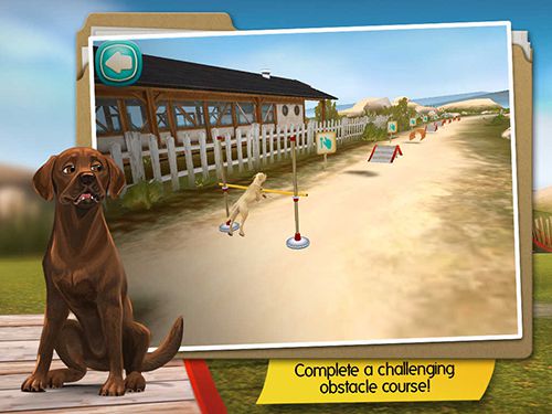 Download app for iOS Dog hotel, ipa full version.