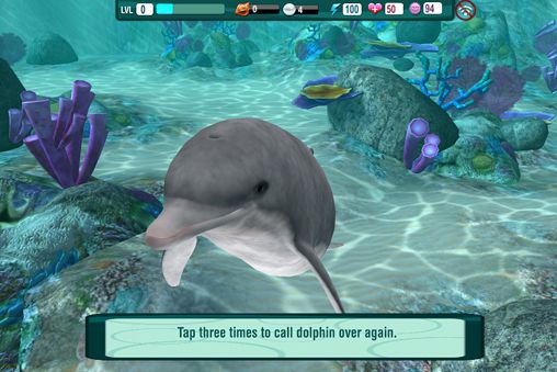 Download app for iOS Dolphin paradise: Wild friends, ipa full version.