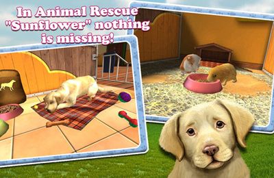 Download app for iOS PetWorld 3D: My Animal Rescue, ipa full version.