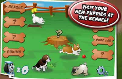 Download app for iOS Puppy Panic, ipa full version.