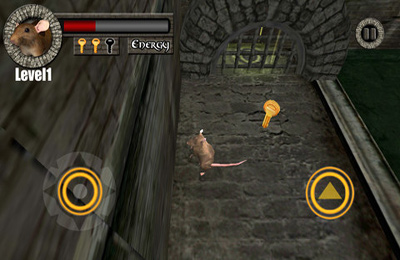 Download app for iOS Sewer Rat Run 3D! Plus, ipa full version.