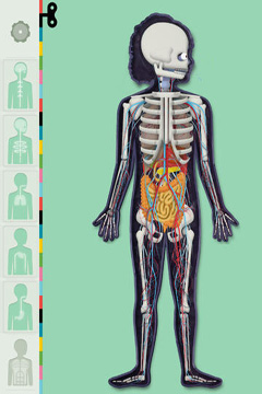 Download app for iOS The Human Body by Tinybop, ipa full version.