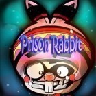 Download game Prison Rabbit for free and Angry Penguin Catapult for iPhone and iPad.