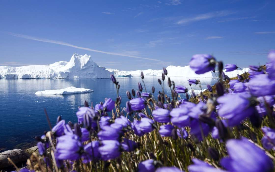 Icebergs,Landscape