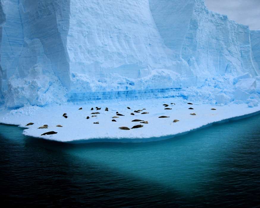 Landscape, Winter, Antarctica, Arctic
