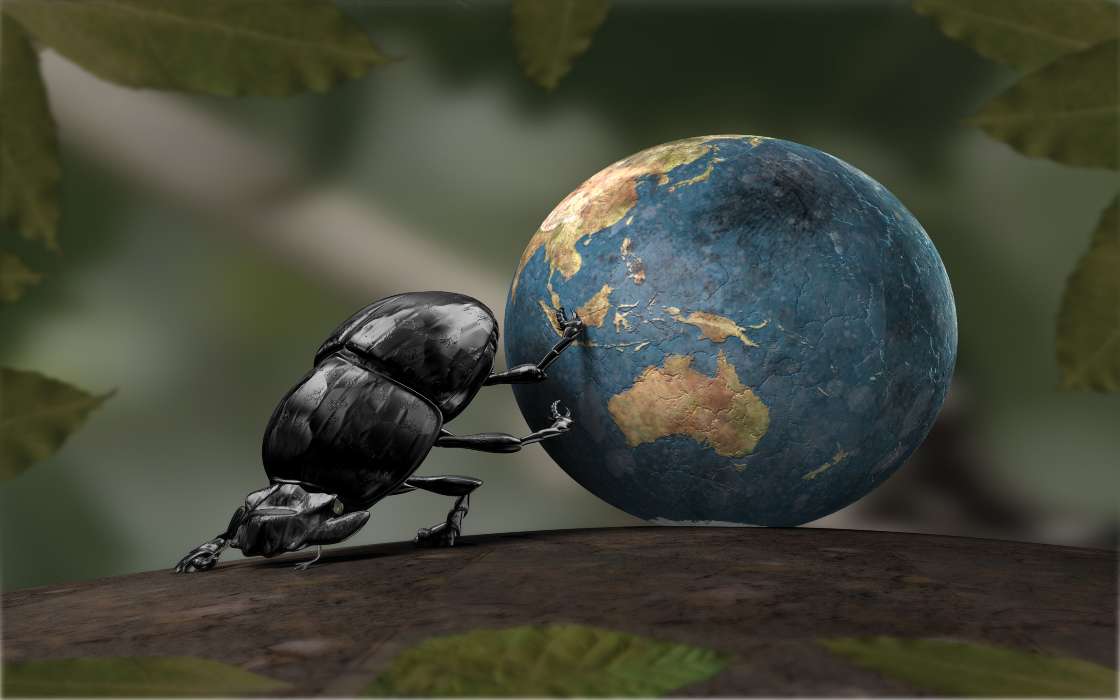 Humor, Insects, Art, Planets