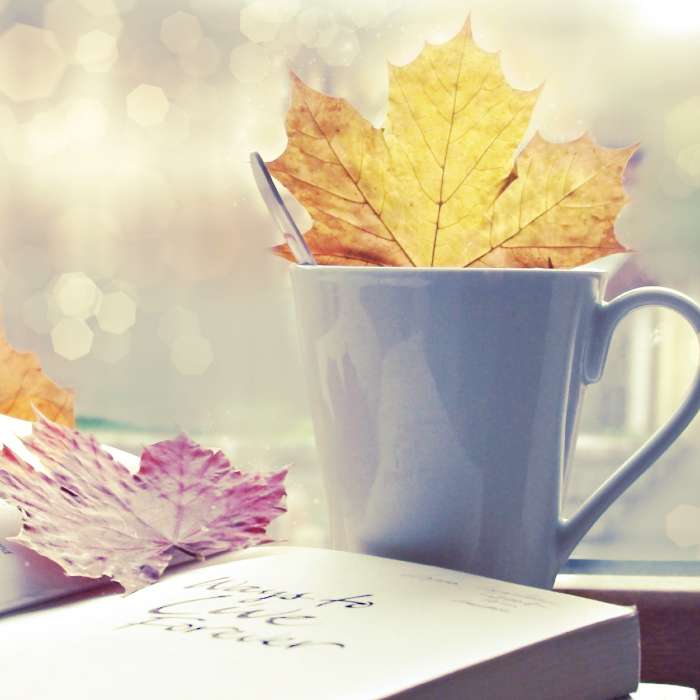 Cups,Background,Leaves