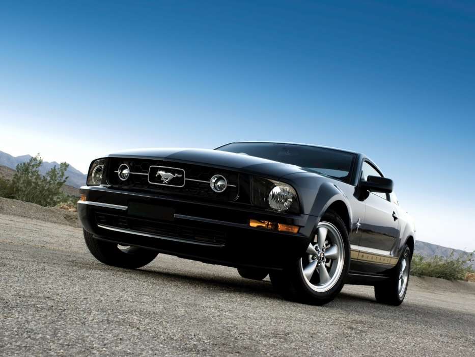 Auto,Mustang,Transport