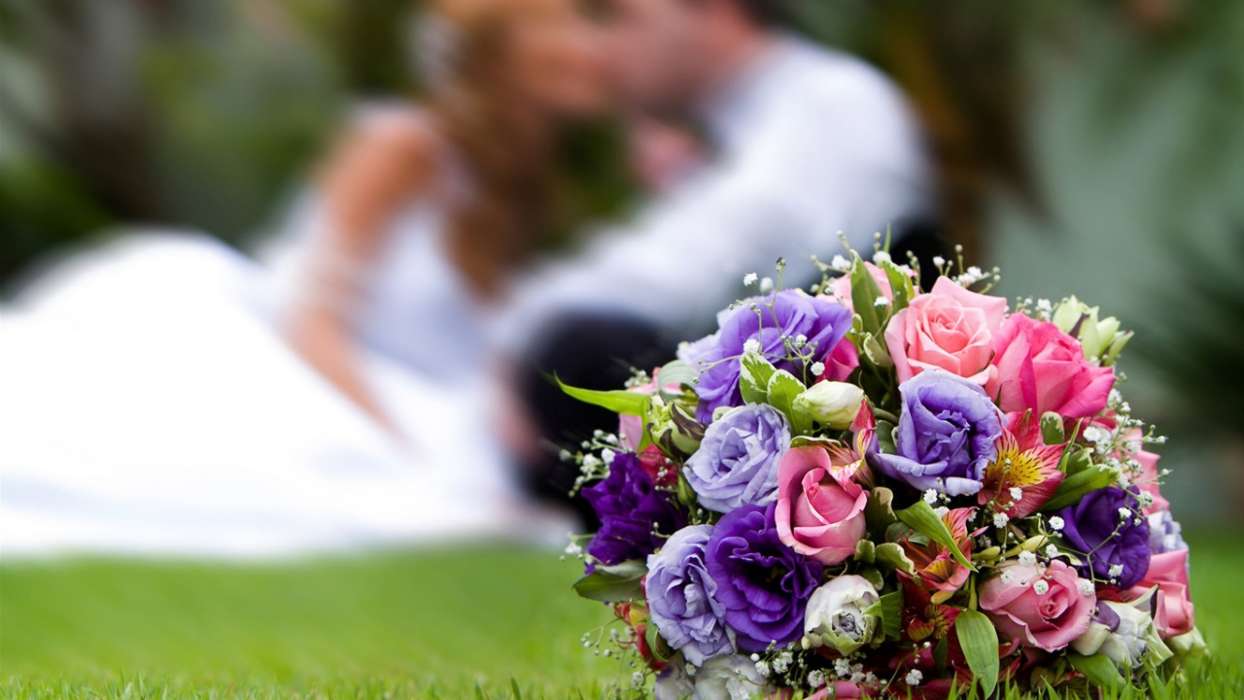Bouquets,Flowers,Landscape,Holidays,Plants,Wedding