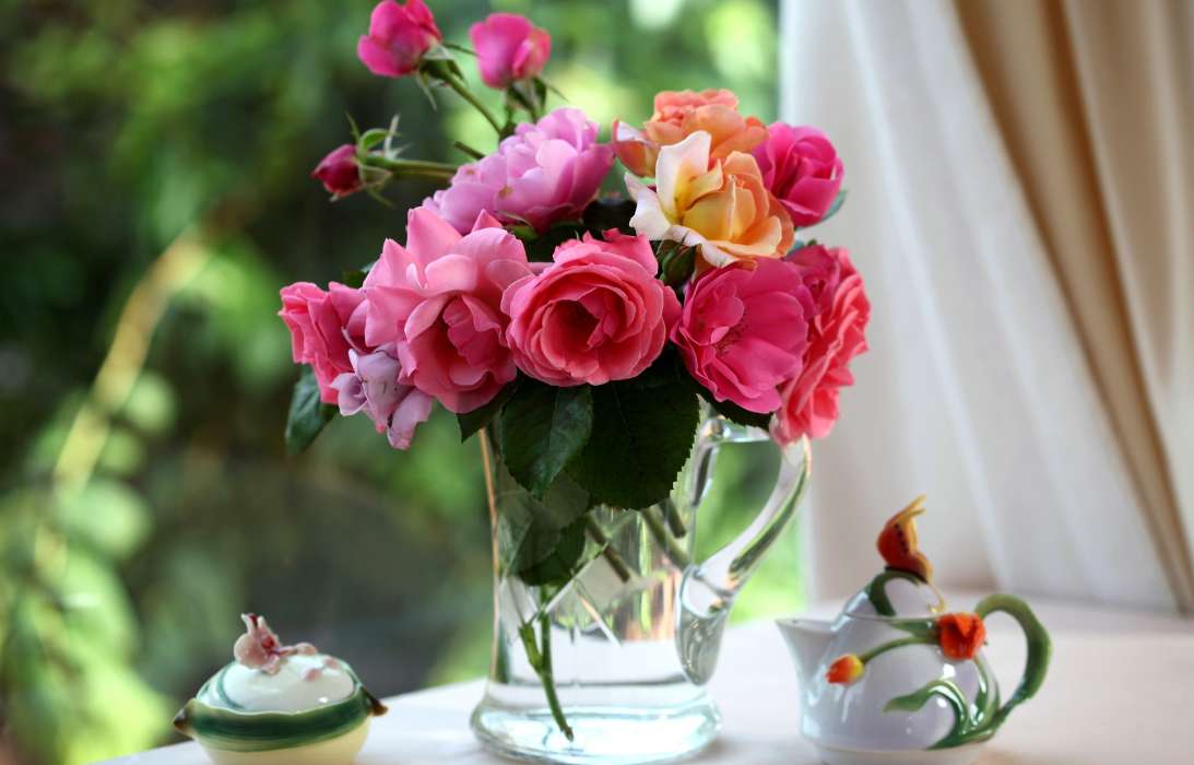 Bouquets,Flowers,Plants