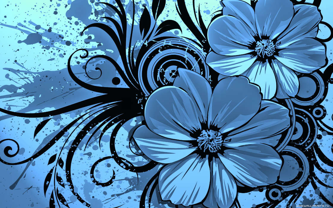 Flowers, Backgrounds, Drawings