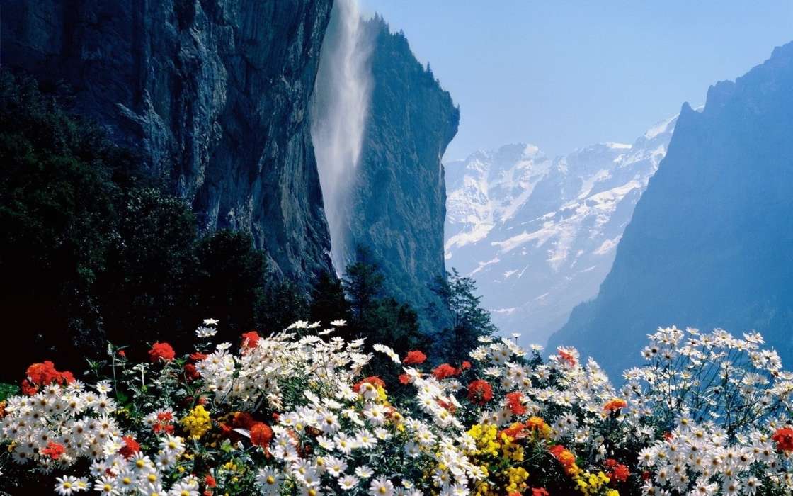 Flowers,Mountains,Landscape,Nature,Plants