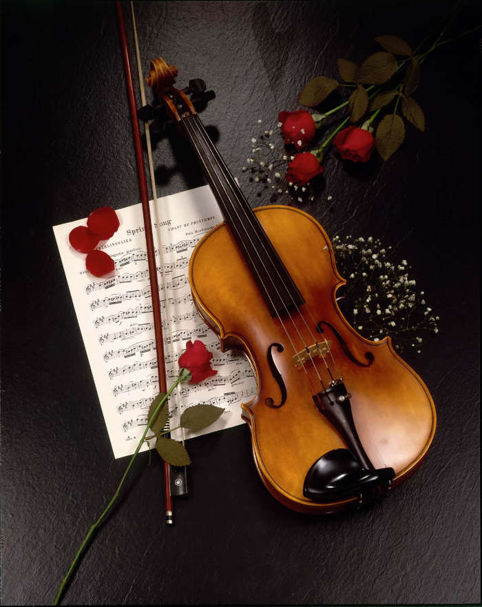 Flowers, Tools, Violins, Music, Objects, Roses